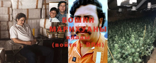 шишки Куйбышев