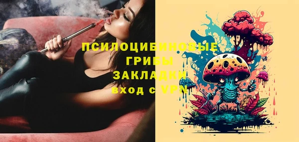 ALPHA PVP Краснослободск