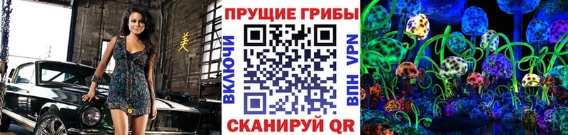 Купить Ладушкин Галлюциногенные грибы Psilocybe