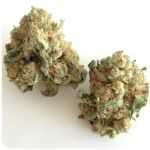 Шишки "White Widow"  (Белая вдова)  Гидропоника -  Бошка VHQ в Ладушкине